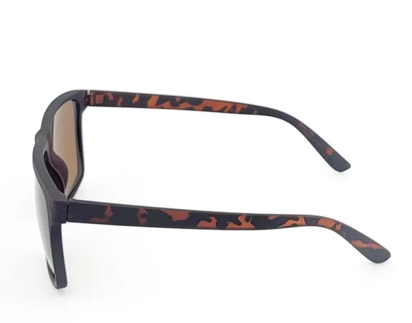 Regent Edge Square Sunglasses