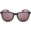 Harbor Lane Everyday Sunglasses