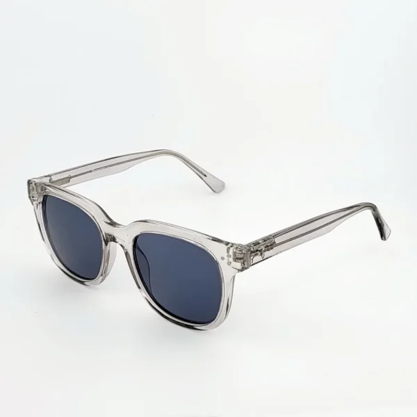 A7827aff7ac1045a789bcc46de643d677l.webp Silver Shore Sunglasses