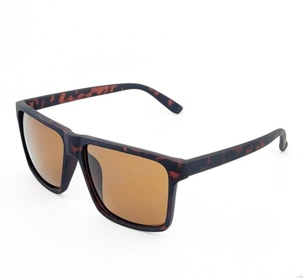 Regent Edge Square Sunglasses