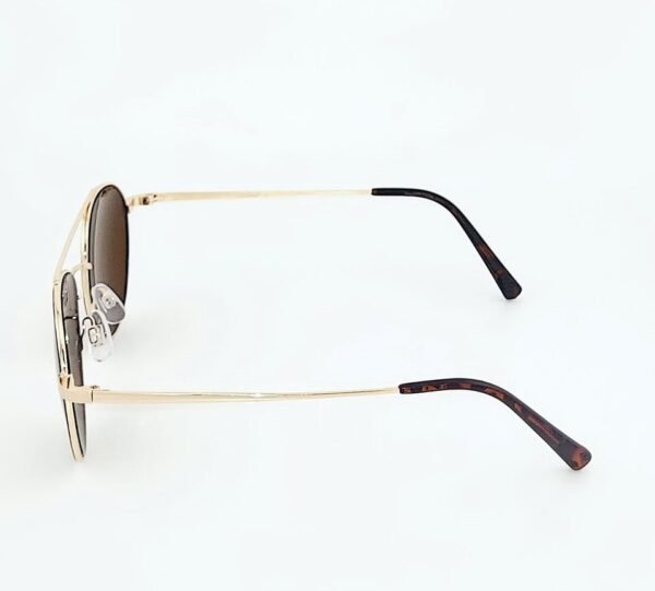 Autumn Vista Sunglasses