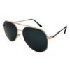North Point Sunglasses