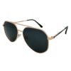North Point Sunglasses