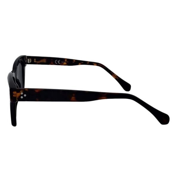 Nova Point Sunglasses