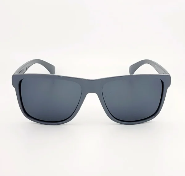 Amber Park Sunglasses