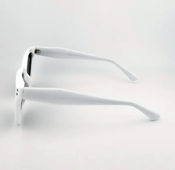 H20344a4f99e34ea79bad4c83785c2be1H.webp Sterling Vista Sunglasses