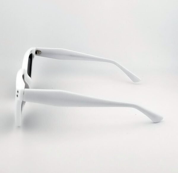 H20344a4f99e34ea79bad4c83785c2be1H.jpg_960x960q80.jpg Sterling Vista Sunglasses