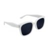H34168edbdd4e4a3ab1e102d845265a061.jpg_960x960q80.jpg Sterling Vista Sunglasses