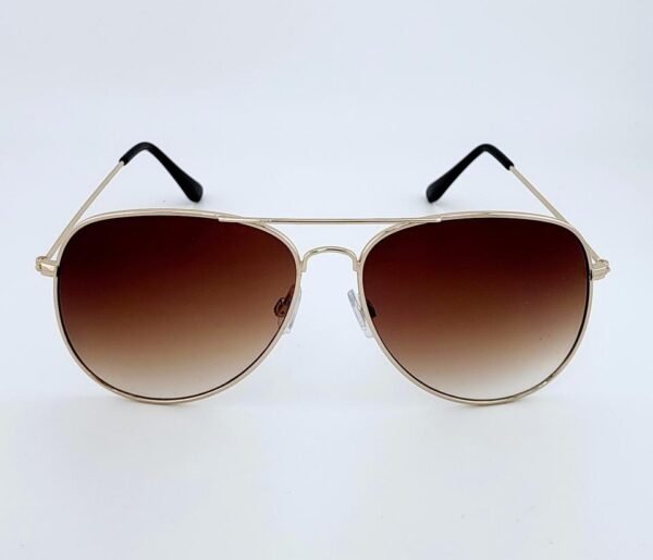 Cedar Grove Sunglasses