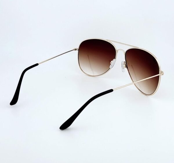 Cedar Grove Sunglasses