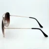 Cedar Grove Sunglasses
