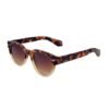 Cedar Point Sunglasses