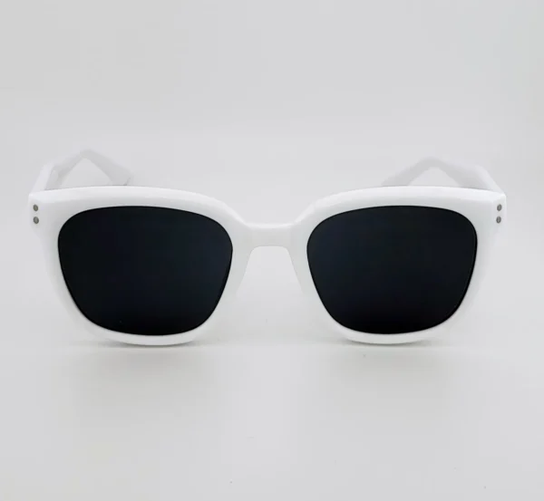 Hc9191ca1baf54a72a5fe48eb5efe1965o.webp Sterling Vista Sunglasses