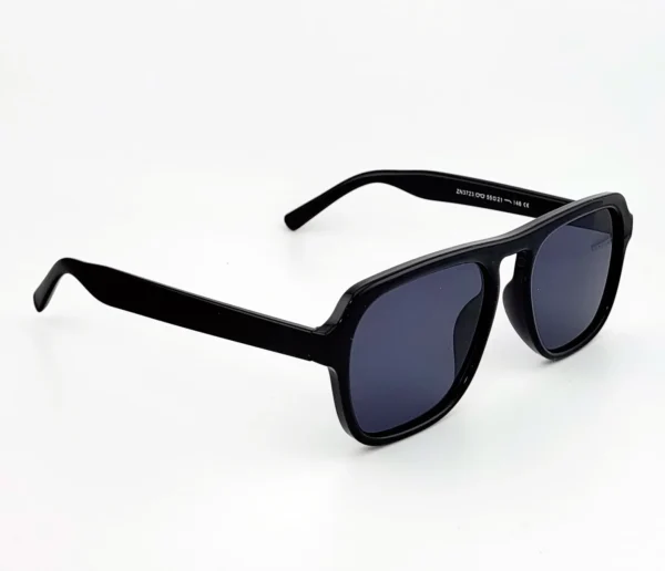 Hf41f16c61732486d959f3bbfa9b60788S.webp Willow Point Everyday Sunglasses